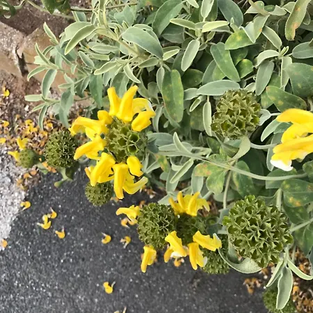 Salines De Giens * Hyères